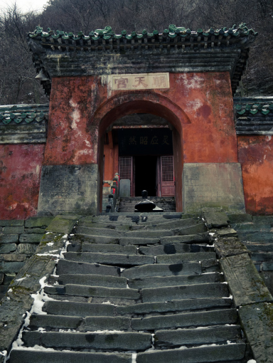 我為什么要看一個(gè)外國人寫我們國家的作品——“局外人”幾內(nèi)亞留學(xué)生柯達(dá)，春節(jié)訪鄉(xiāng)觀察與思考